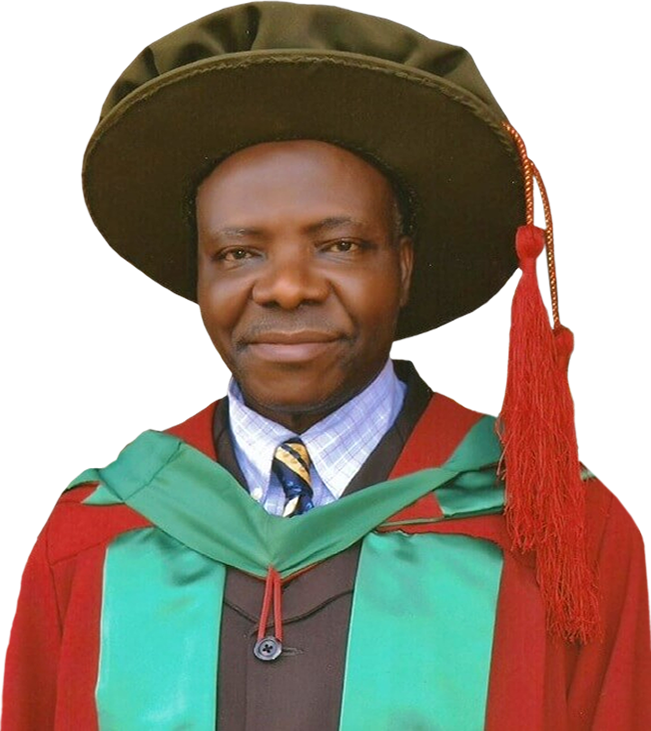 Prof. Daniel Sunday Ugwu